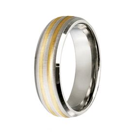 Titanium & 9k Gold Inlay Ring (7mm)