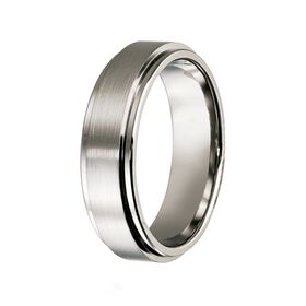 Titanium with Raised Centre Wedding Band (7mm)