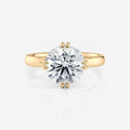 yellow gold Round East-West Double Claw Moissanite Engagement Rings South Africa Moissanite By Design