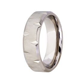 Titanium with Cut Out Design on Edge Wedding Band (7mm)