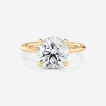yellow gold Round Half-Round Band Hidden Halo Moissanite Engagement Ring South Africa Moissanite by Design